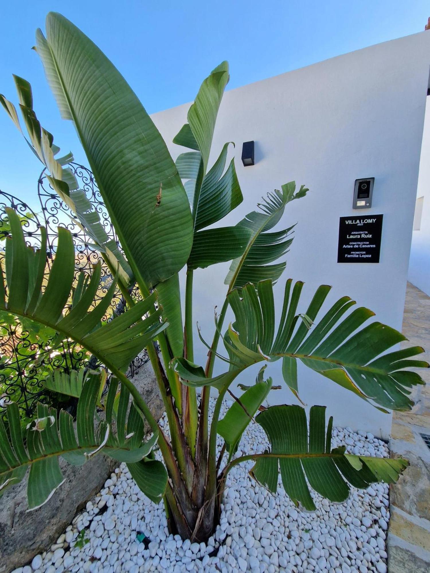 Villa Lomy Casares Zewnętrze zdjęcie